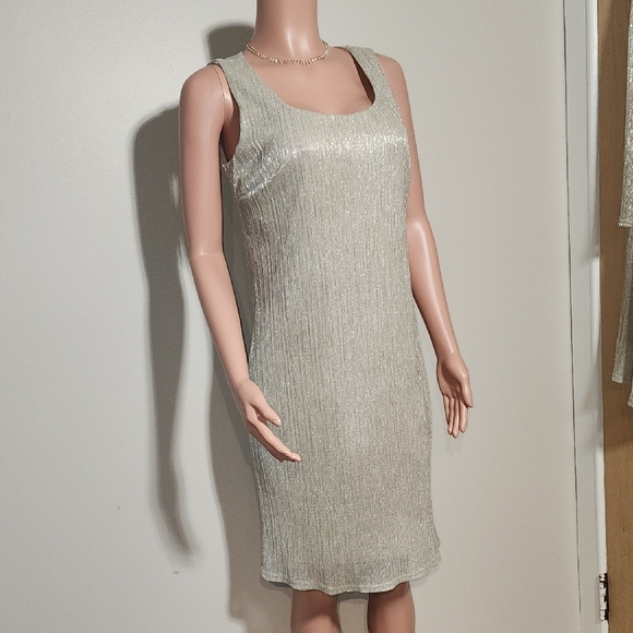 Elegant Silver Midi Dress with Shawl - Picture 6 of 14